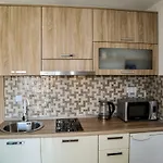 Apartment Marina Pavic